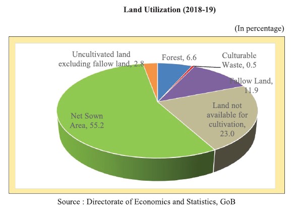 Cabinet Approves Big Land Tax Sops to Woo Investors — Details Here 4 Land Utilization in Bihar