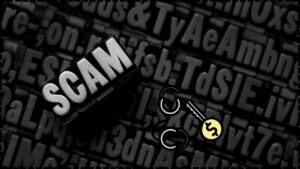 Punjab & Haryana HC Grants Bail to Accused of Scamming Rs. 1.33 Crore Posing as Customs Officer