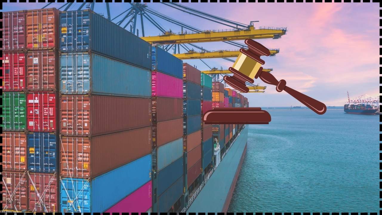 Rs 44 Crore Customs Evasion Exposed Bombay HC Grants Anticipatory Bail in Walnut Import Scandal