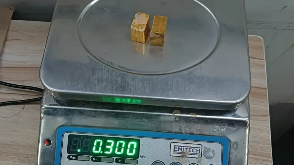Gold Bar Drama: Delhi HC Steps In, Refers Lawyer’s Alleged Withholding to Mediation 3 gold bar