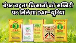 DAP Urea New Rate 2025: किसानों को मिली बड़ी राहत! सब्सिडी के साथ मिलेगा डीएपी यूरिया