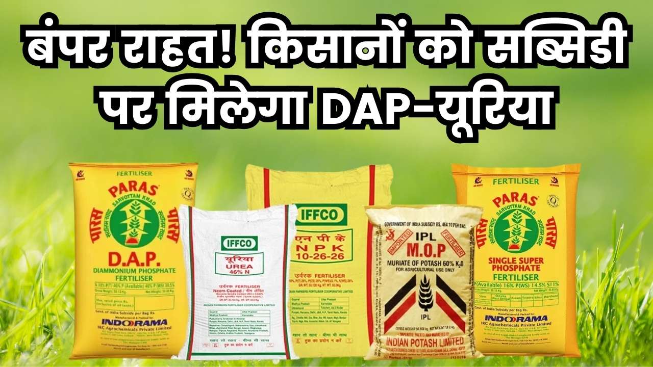 DAP Urea New Rate 2025: किसानों को मिली बड़ी राहत! सब्सिडी के साथ मिलेगा डीएपी यूरिया